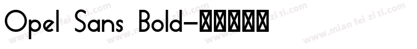 Opel Sans Bold字体转换